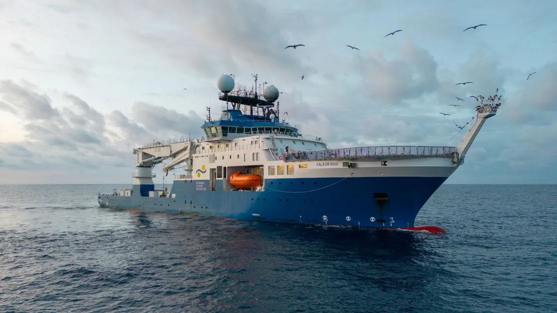 El monte submarino fue descubierto en julio durante una expedición del Schmidt Ocean Institute utilizando el buque de investigación conocido también como Falkor.