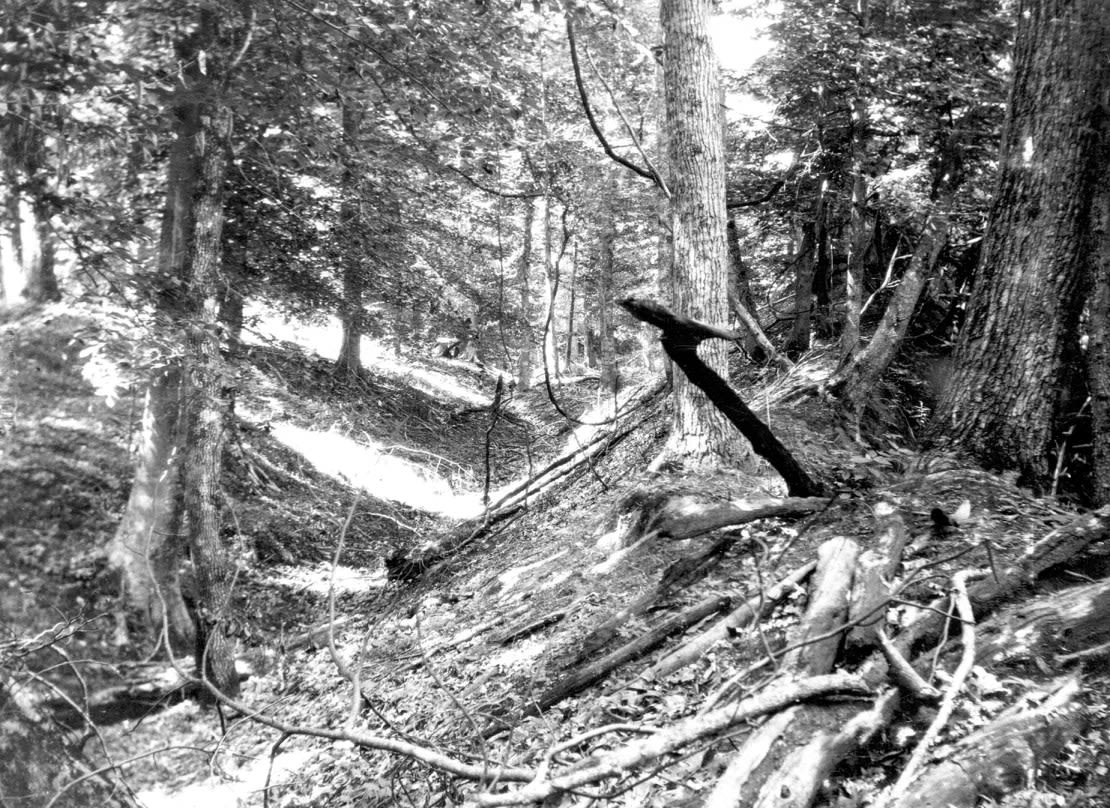 Una fotografía sin fecha del Servicio Geológico de Estados Unidos muestra una zanja y una cresta de deslizamiento de tierra en Chickasaw Bluffs, al este del lago Reelfoot, Tennessee, como resultado de los terremotos de New Madrid de 1811 a 1812. Crédito: ML Fuller/Servicio Geológico de EE.UU.