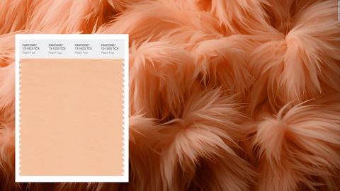 CNNE 1519667 - pantone dice que este es el color del ano 2024
