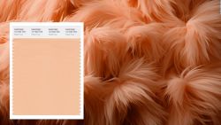 CNNE 1519667 - pantone dice que este es el color del ano 2024