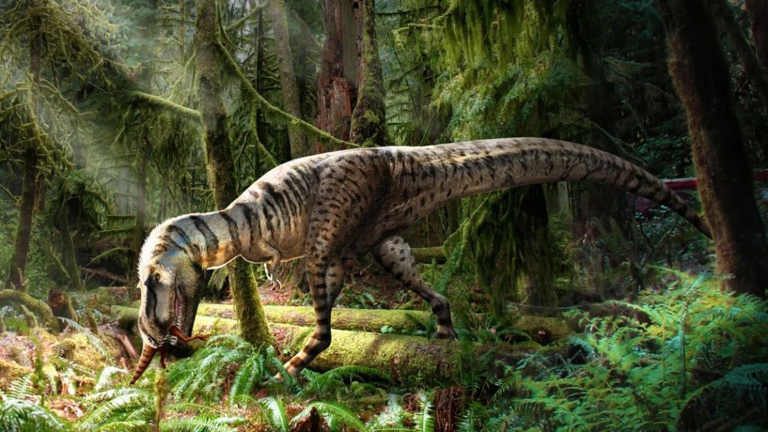 Una ilustración muestra un Gorgosaurus, un primo del T. rex, en una escena de bosque del Cretácico.