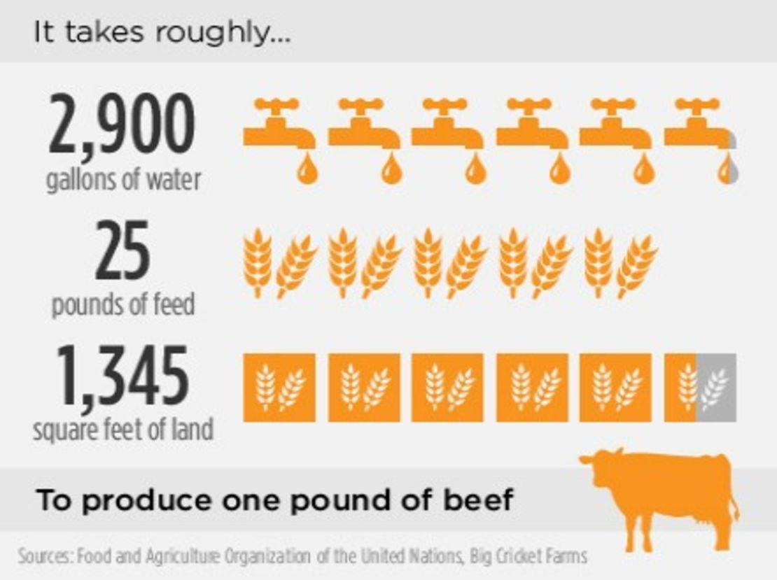 CNNE 152415 - image (1) 140723103456-insect-farming-inside-africa-infographic-beef-entertain-feature-jpg for post 129616