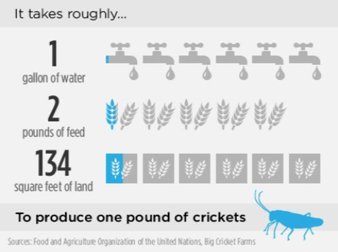 CNNE 152416 - image (2) 140723104009-insect-farming-inside-africa-infographic-cricket-entertain-feature-jpg for post 129616