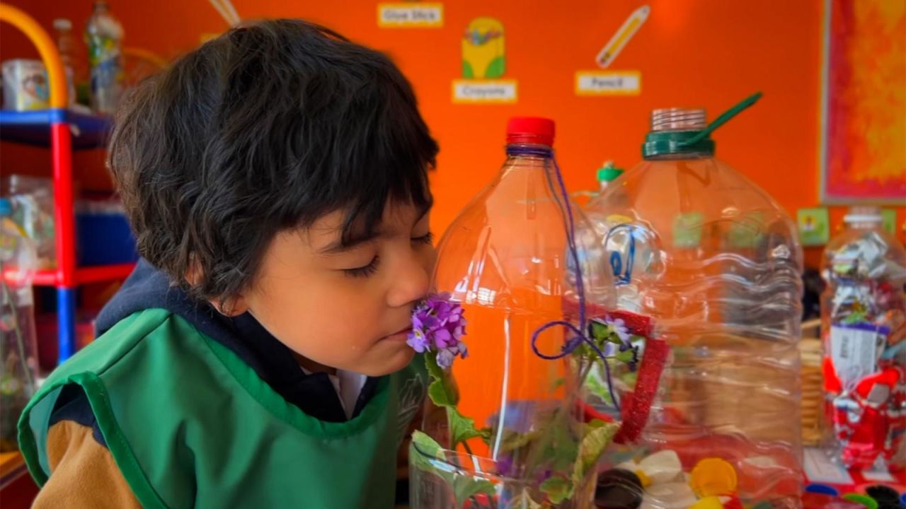 CNNE 1526714 - chile- lecciones de biodiversidad en el colegio pumahue