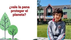 CNNE 1526723 - ¿por que es importante cuidar el medio ambiente?