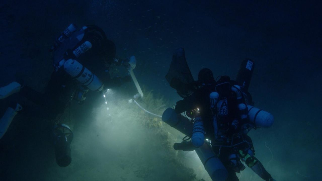 CNNE 1528164 - exploradores documentan las profundidades desconocidas de los oceanos