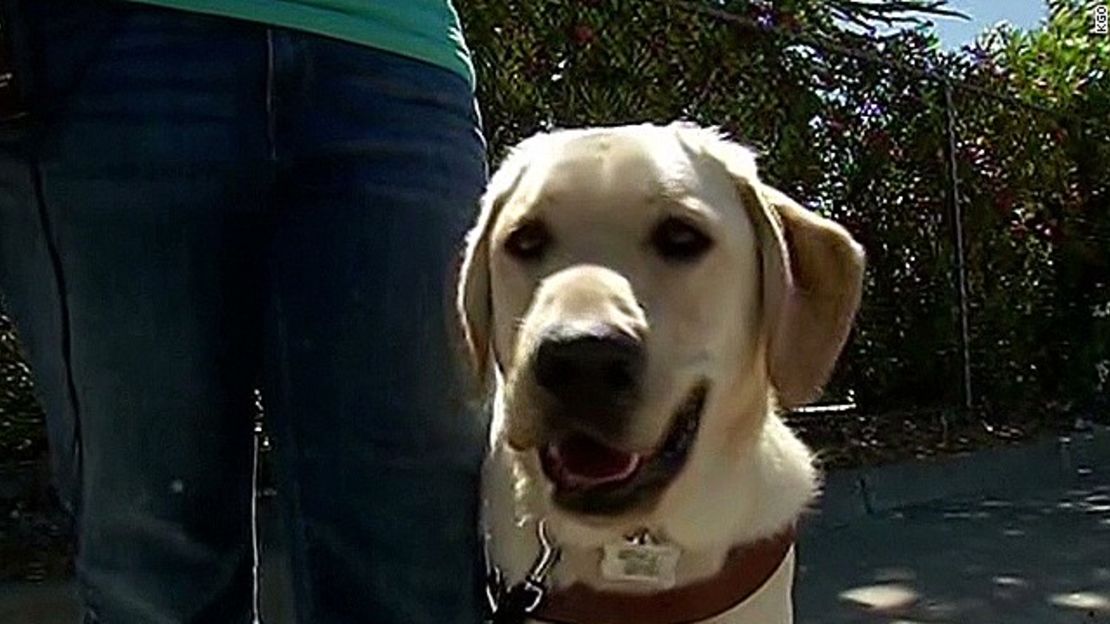 CNNE 152881 - image (1) 130612225616-kgo-pkg-guide-dog-saves-life-00001309-story-top-jpg for post 106395