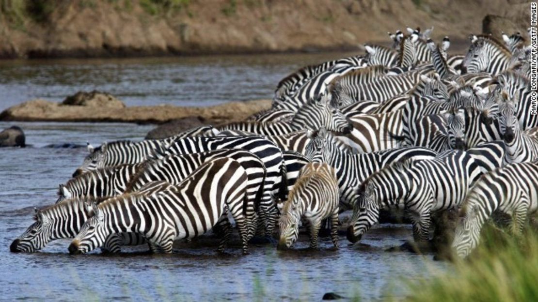 CNNE 152985 - image (3) 131009130258-zebras-migration-africa-story-top-jpg for post 100860