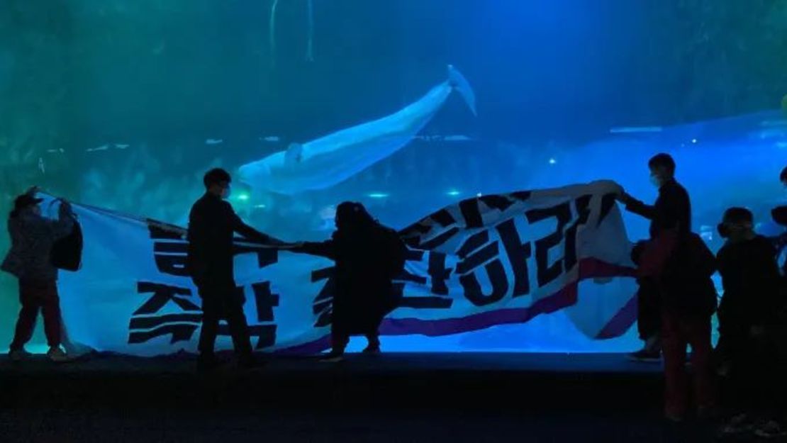 En 2022, activistas de Hot Pink Dolphins organizaron una protesta frente al tanque de Bella, pidiendo su liberación.