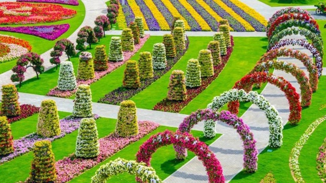 CNNE 153492 - image (3) dubai-miracle-garden-jardin-de-flores-en-dubai-5-jpg for post 75709