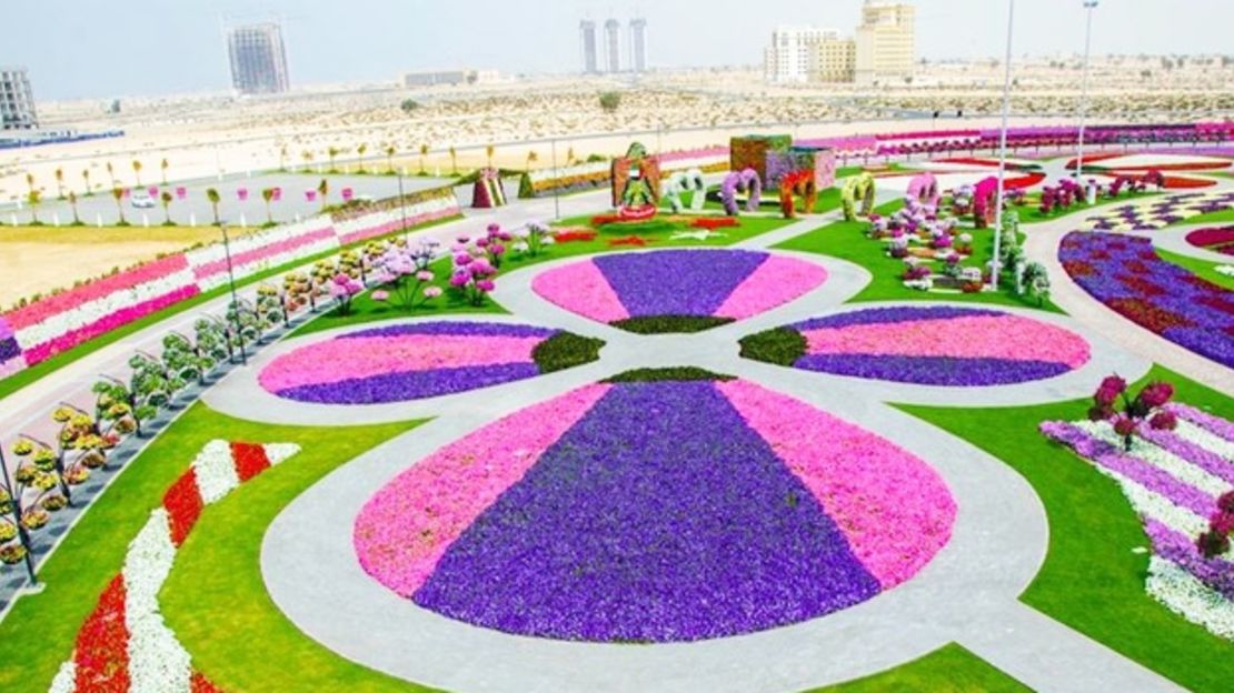 CNNE 153493 - image (4) dubai-miracle-garden-jardin-de-flores-en-dubai-6-jpg for post 75709