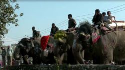 CNNE 1536268 - las mejores imagenes del festival del elefante de chitwan, en nepal