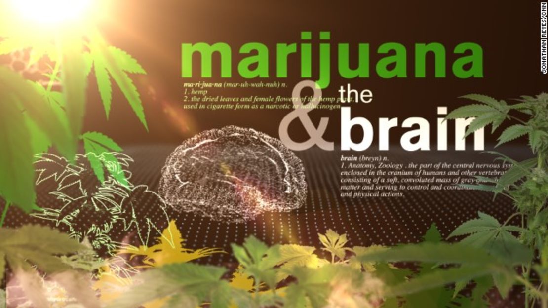 CNNE 153809 - image (1) 140310200119-orig-jr-brain-on-weed-story-top-jpg for post 115841