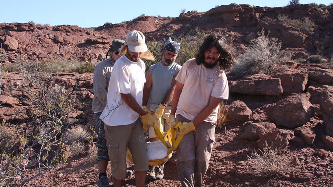 Equipo de investigadores en la zona. Cortesía investigadores/Conicet