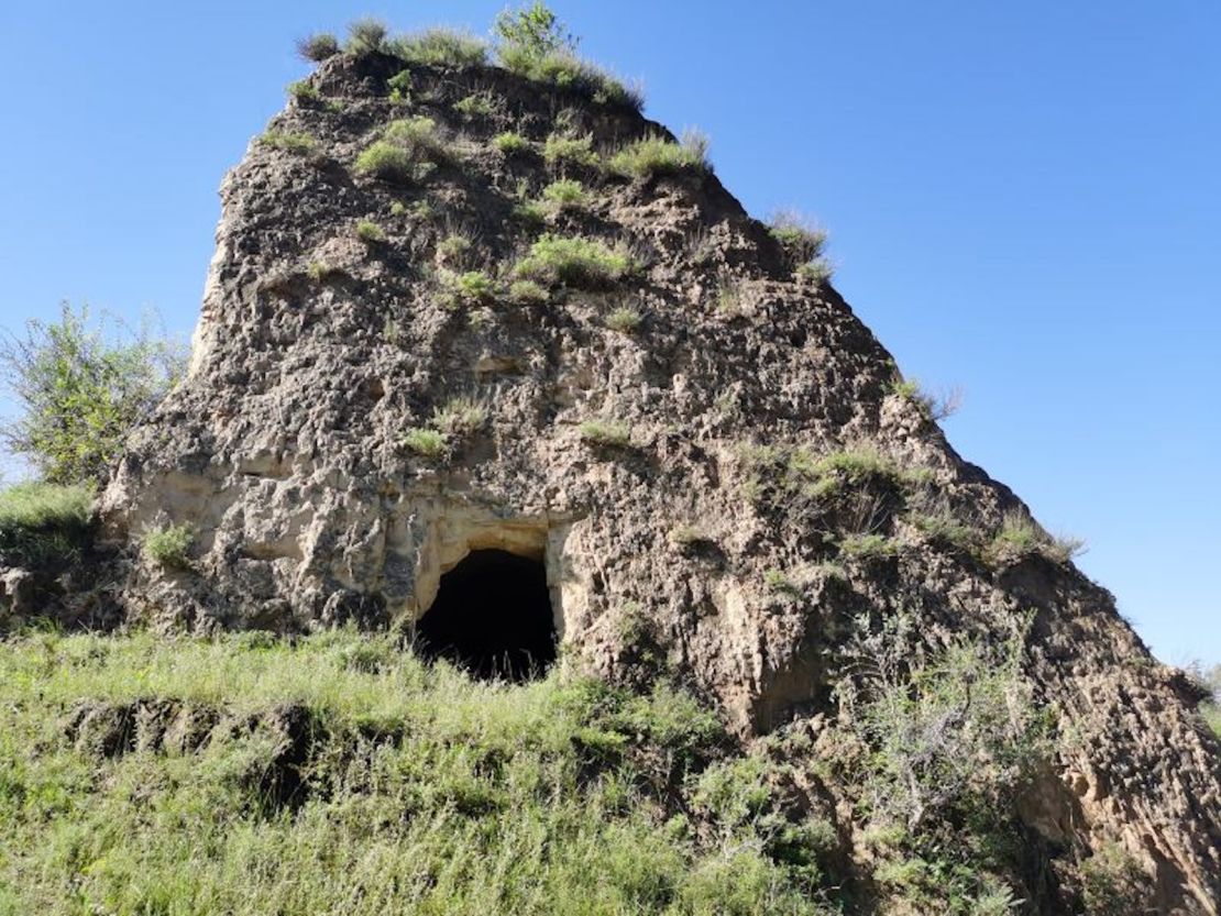 Al formar ecosistemas en miniatura, las biocortezas estabilizan el suelo, aumentan la retención de agua y regulan la fijación de nitrógeno y carbono.