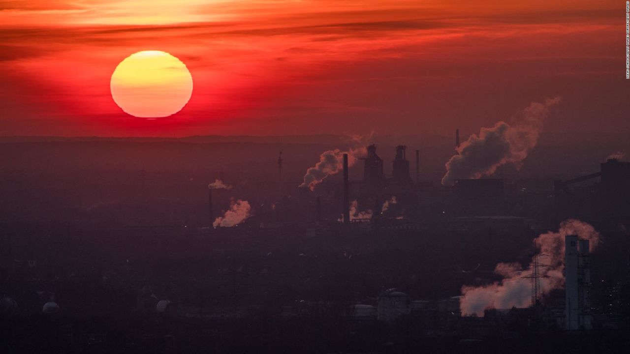 CNNE 1546551 - crisis climatica pone en jaque adaptacion de ecosistemas