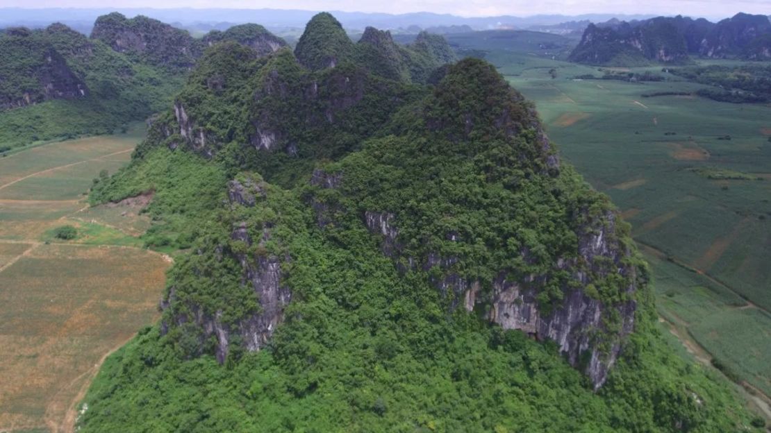 Muchas de las cuevas que contienen fósiles de Gigantopithecus se han encontrado en el característico paisaje kárstico de Guangxi. Crédito: Yingqi Zhang