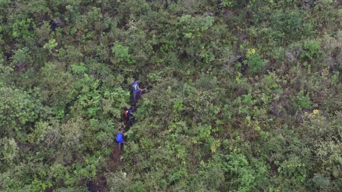 Los investigadores escalaron escarpadas montañas kársticas para llegar a las cuevas. Crédito: Yingqi Zhang