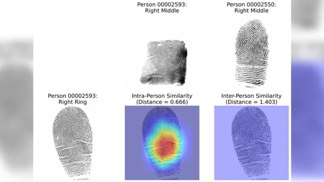 El sistema utilizado en el estudio para identificar similitudes entre huellas dactilares podría ser útil en el análisis de escenas del crimen, según los autores. Crédito: Gabe Guo/Ingeniería de Columbia