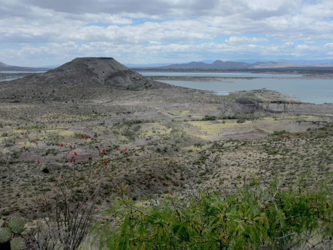 Aproximadamente una cuarta parte de un cráneo fosilizado de Tyrannosaurus mcraeensis se encontró en una zona conocida como Elephant Butte, Nuevo México. Crédito: Spencer Lucas/Cortesía del Departamento de Asuntos Culturales de Nuevo México