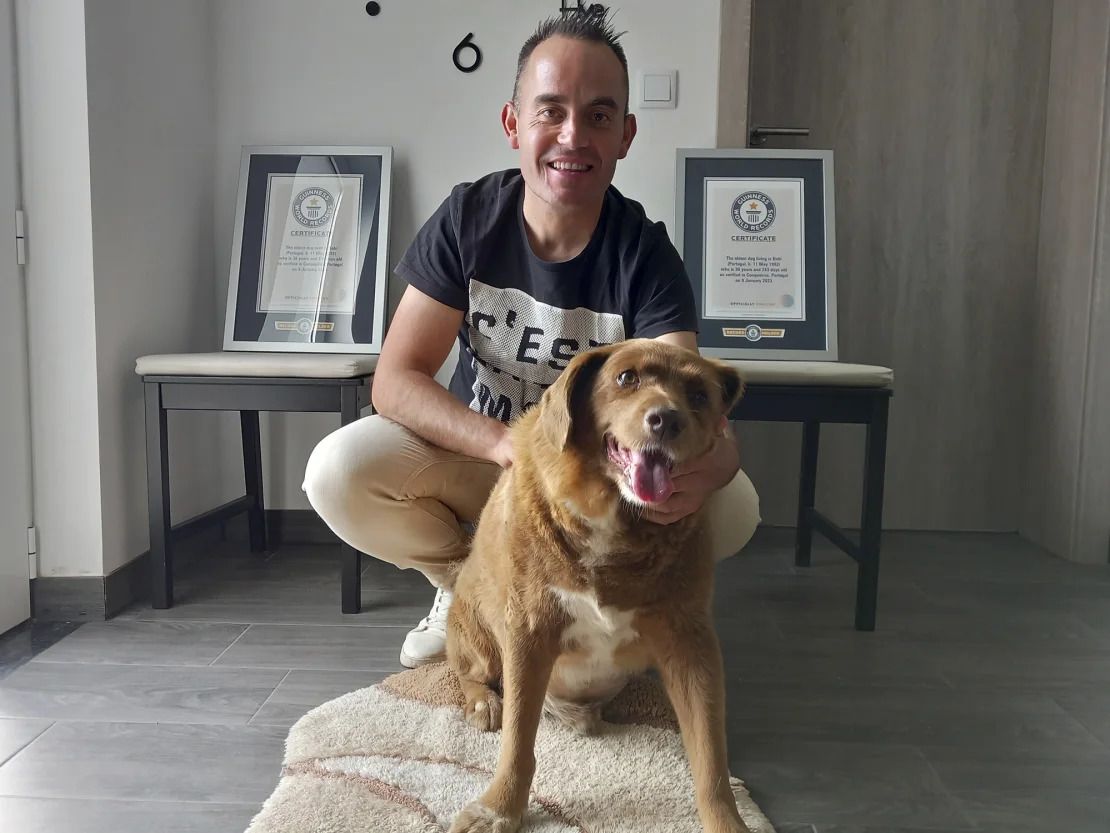 Bobi posa para una foto con su dueño Leonel Costa y sus certificados de récord mundial Guinness para el perro más viejo en mayo de 2023.