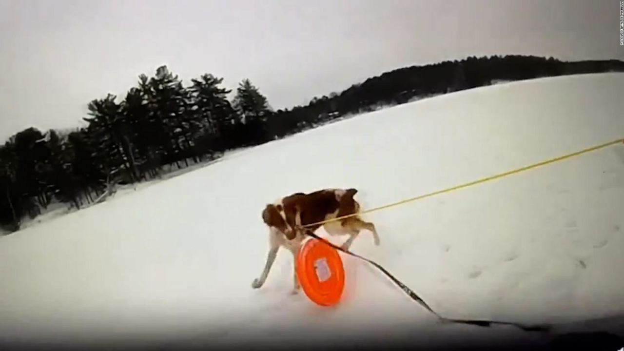 CNNE 1553523 - un perro ayuda a salvar a su dueno que cayo en un lago de hielo