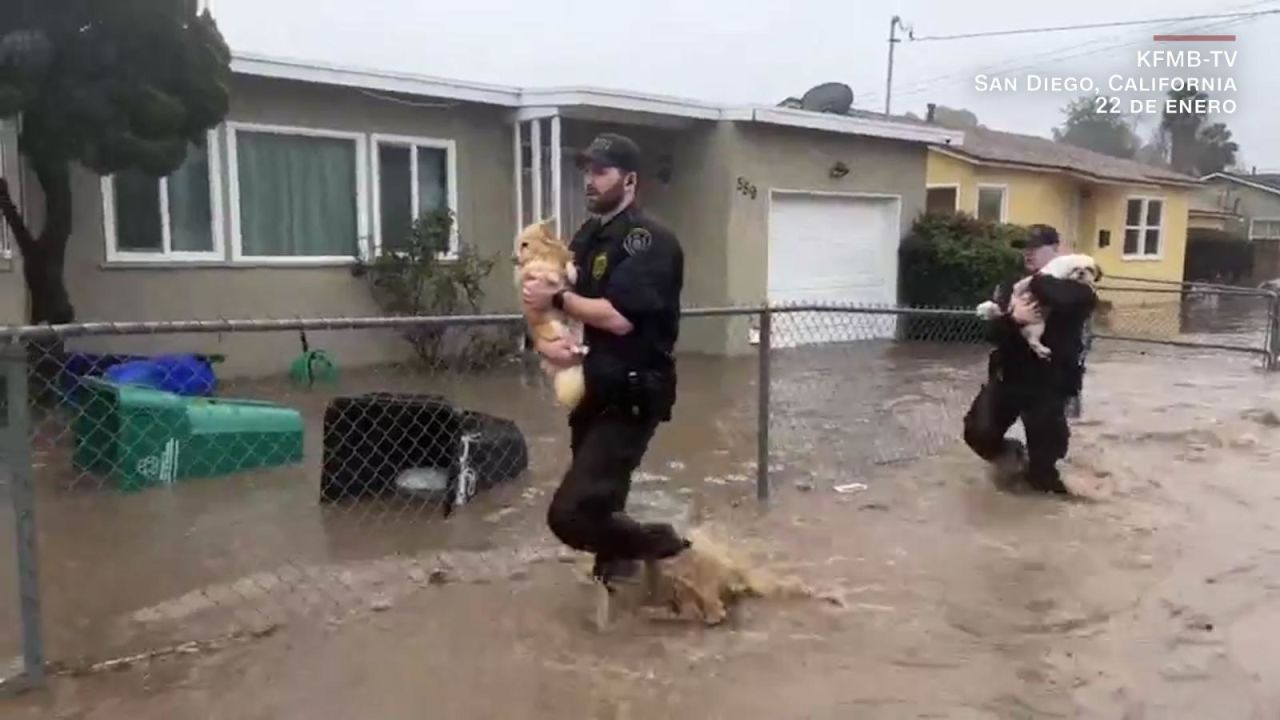 CNNE 1554747 - ayudan a mascotas a sobrevivir de terribles inudaciones en san diego