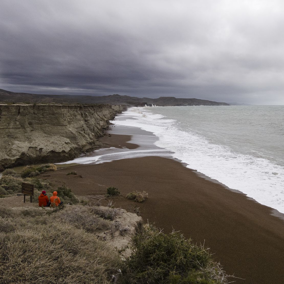 Explorar los bosques de kelp es todo un desafío: vientos, frío y correntadas son algunos de los obstáculos