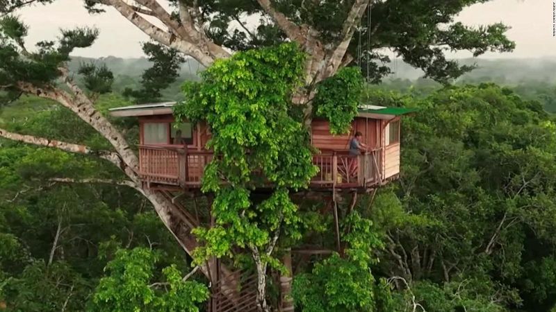 Clases en un árbol, esta aula ayuda a educar a adultos en perú | cnn