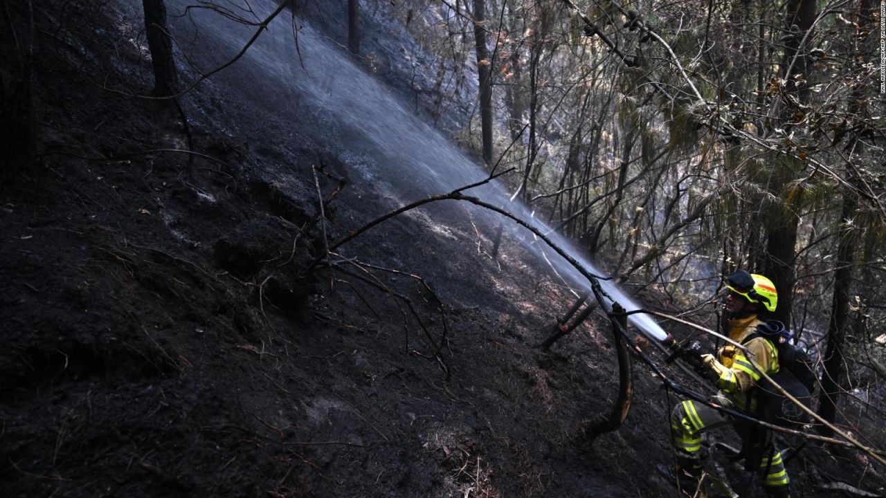 CNNE 1556659 - autoridades intentan combatir los incendios forestales en colombia