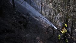 CNNE 1556659 - autoridades intentan combatir los incendios forestales en colombia