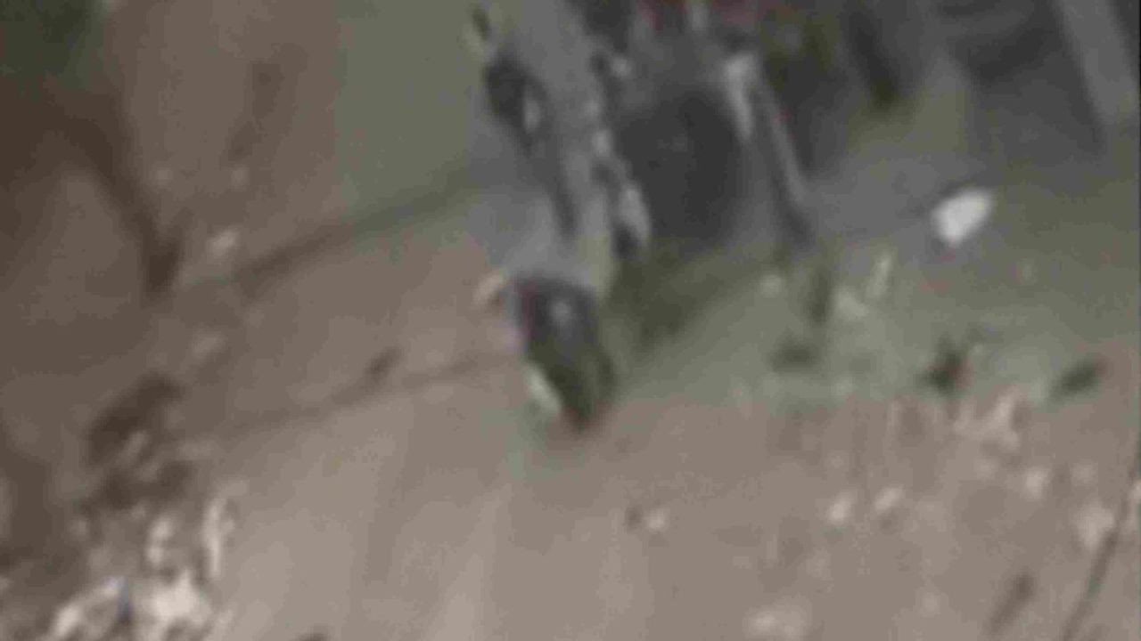 CNNE 1557505 - abuela es abatida mientras huia con su nieto de gaza