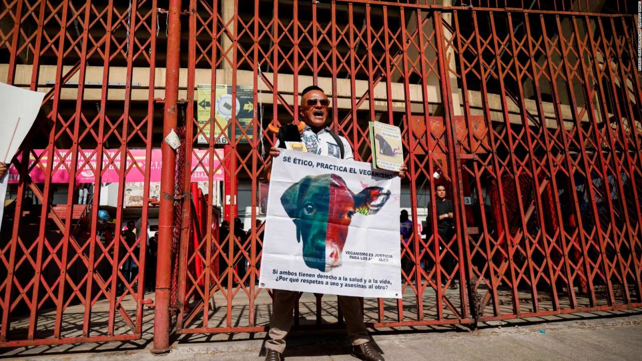 CNNE 1557817 - el regreso de las corridas de toros a mexico causa protestas