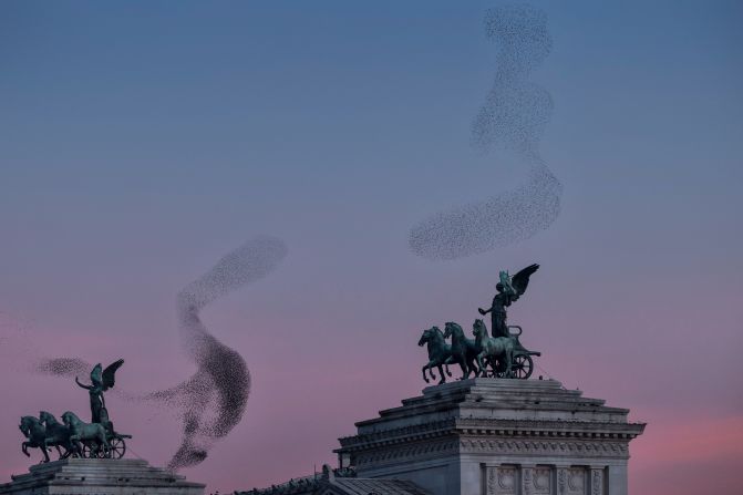 Solkær también comenzó a incluir arquitectura en algunas imágenes, como ésta, que captura a los estorninos elevándose sobre el Monumento Nacional Víctor Manuel II en Roma, Italia.