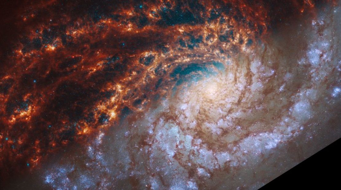 Esta imagen muestra observaciones de la galaxia NGC 4254 realizadas por los telescopios Webb (arriba a la izquierda) y Hubble (abajo a la derecha). Crédito: NASA, ESA, CSA, STScI, Janice Lee (STScI), Thomas Williams (Oxford), PHANGS