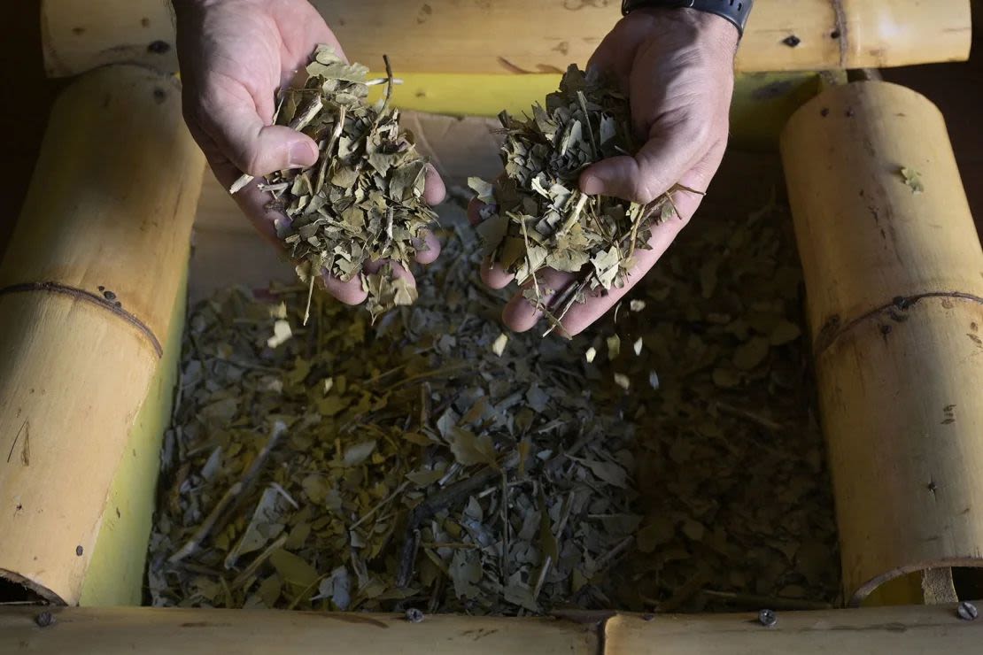 Yerba mate antes de ser molida para su consumo en la Cooperativa Agrícola de la Colonia Liebig en Corrientes, Argentina, el 23 de febrero de 2022.