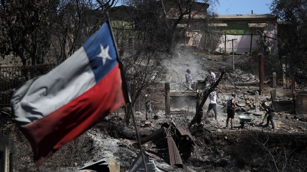 CNNE 1575874 - asi asisten a perros y gatos afectados por los incendios en chile