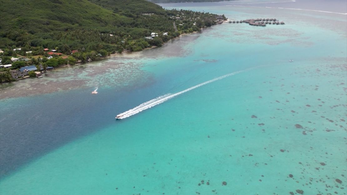 La Polinesia Francesa es hogar de los viveros de Coral Gardeners.