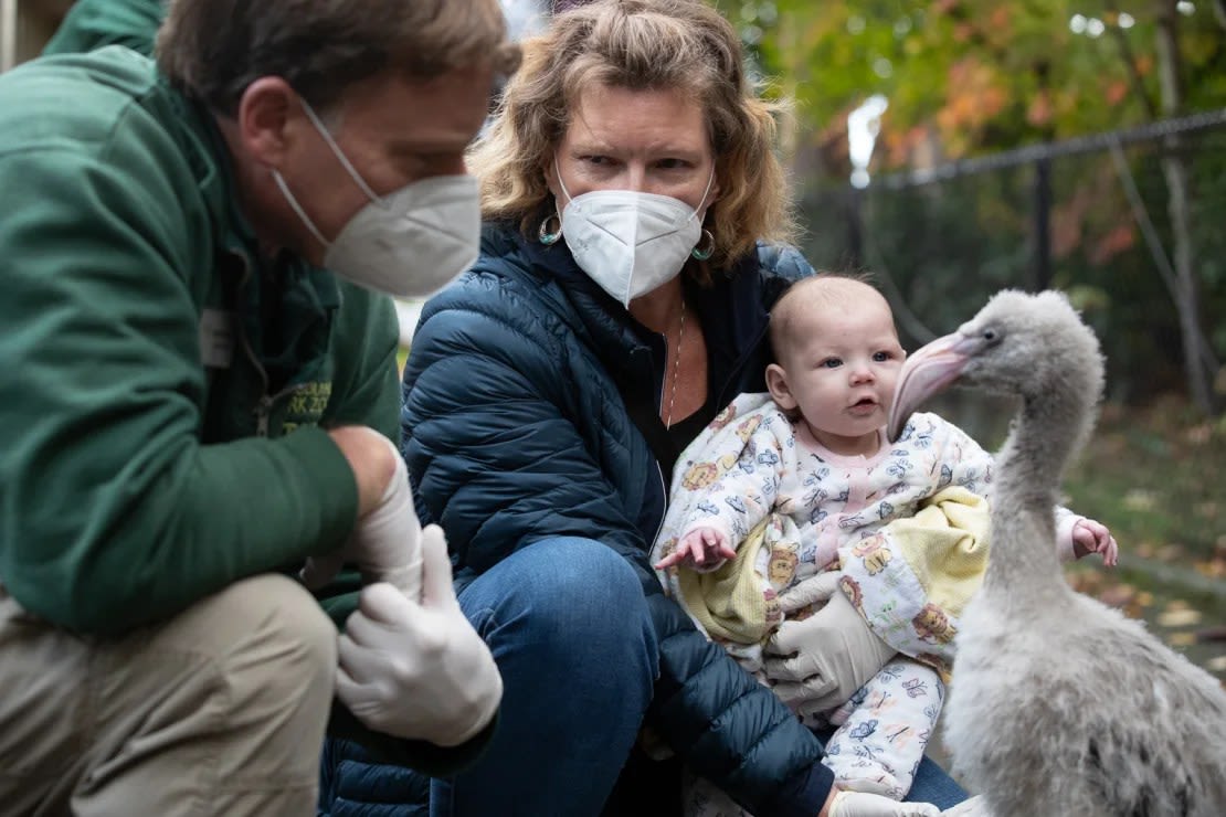 May y su nieta conocieron a los polluelos de flamenco en el Zoológico Woodland Park el año pasado.