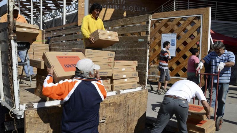 Afectados por el sismo en el norte de chile protestan con barricadas | cnn