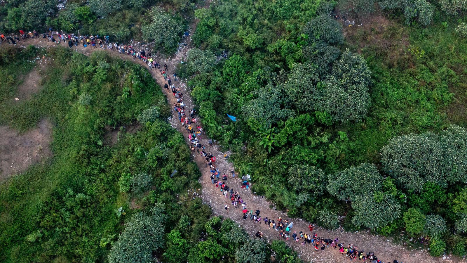 Casi 70.000 migrantes cruzaron la selva del Darién en 2024, según gobierno  de Panamá