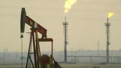 CNNE 1617726 - la opep+ extiende recorte de 2,2 millones de barriles