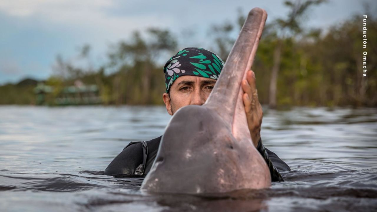 CNNE 1639847 - el delfin que se transformo en hombre