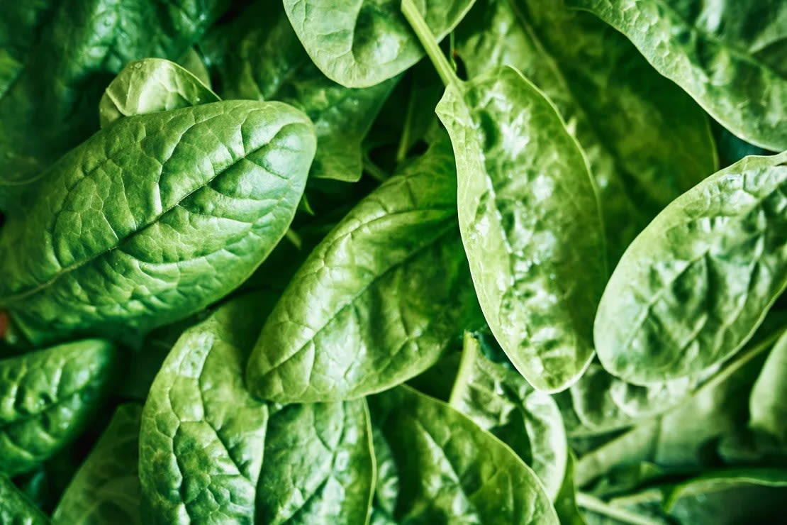 Los cultivos como las fresas, las espinacas y otras verduras de hojas verdes, son especialmente propensos a las plagas. (Foto: Ekaterina Goncharova/Momento RF/Getty Images).