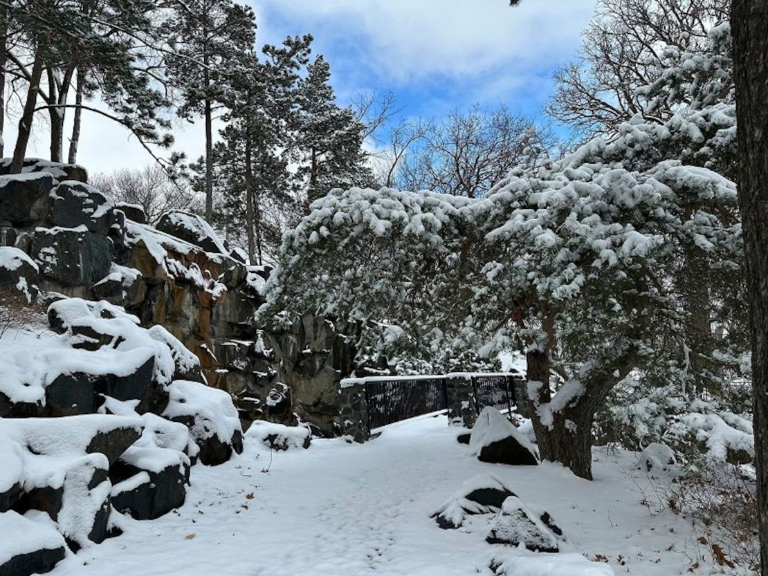 La nieve se adhiere a los árboles a lo largo de un sendero en el lago Como en St. Paul, Minnesota, el 22 de marzo. Amy Forliti/AP