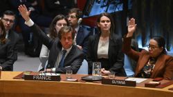 CNNE 1652110 - la onu aprueba resolucion que pide alto el fuego inmediato en gaza