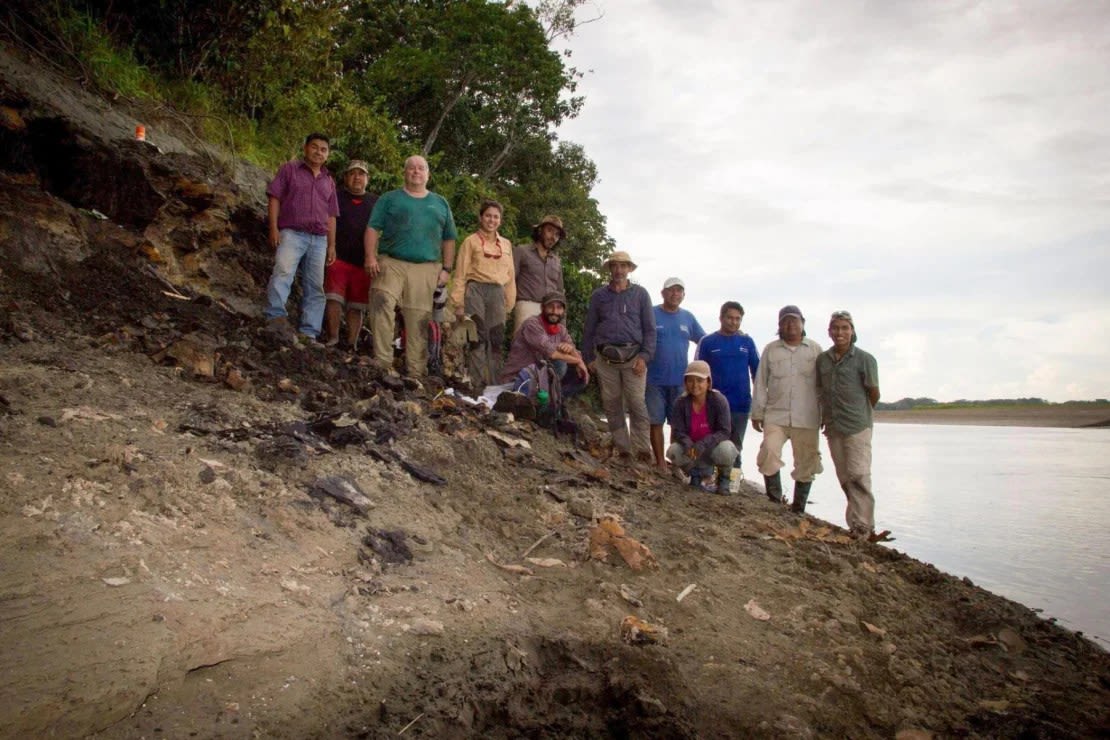 Un equipo internacional de investigadores descubrió el fósil durante una expedición en 2018 al río Napo en Perú. Crédito: Aldo Benites Palomino.