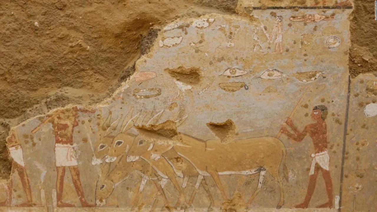 CNNE 1652937 - descubren pinturas de miles de anos de antiguedad en egipto