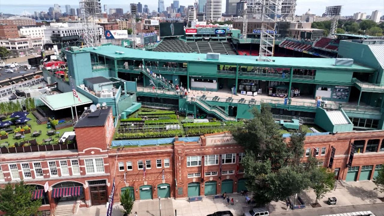 CNNE 1653179 - un estadio de beisbol produce hortalizas y verduras