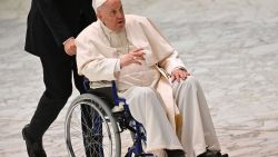 CNNE 1655450 - milei se ofrece a ser el "baston humano" del papa francisco